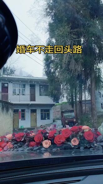 这大哥仗义,知道婚车不走回头路,推不动直接推沟里了,#婚车 #农村习俗