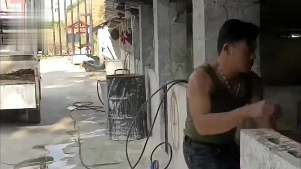 2026最洗脑神曲《玉芬啊玉芬你让彪哥好伤心》
全网疯传,玉芬到底是什么梗?太搞笑了!