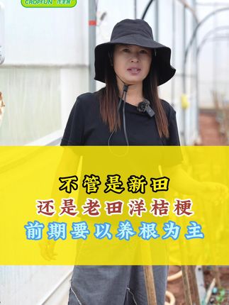 洋桔梗不管是新田还是老田都以养根为主!根据花的长势再来合理搭配!#来抖音学农技 #通海黄孃孃 #作丰客黄孃孃 #生根肥落地生根 #AM3