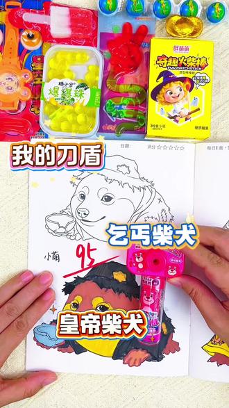 第一次画我的刀盾乞丐柴犬,居然有95分 小朋友喜欢的我的刀盾也出涂色画画本啦!超多有趣的角色,快来和我一起给他们描摹涂色吧#画画 #我的刀盾 #描摹本 #我的刀盾描摹本