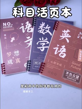 不同颜色的科目笔记本,分类清晰,易查找,课本大小整理方便#学习用品#科目笔记本#活页笔记本#文具安利