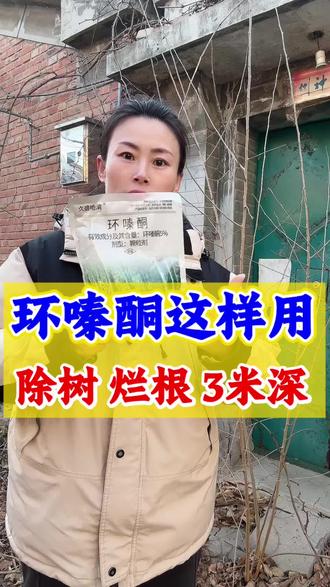 #环嗪酮 #除大树 #除竹子 #环嗪酮除大树竹子灌木杂草 #三农