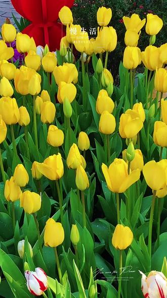 #随变ai随便玩 #随变ai合拍也太好玩了吧
内容由AI合成