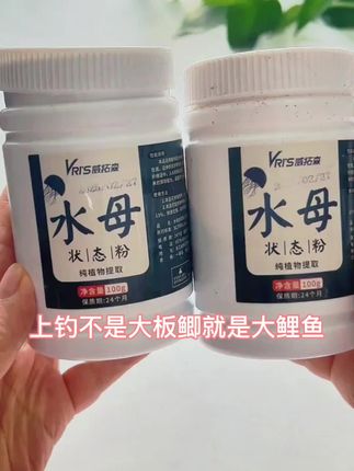 威拓森水母状态粉#钓鱼#开饵技巧