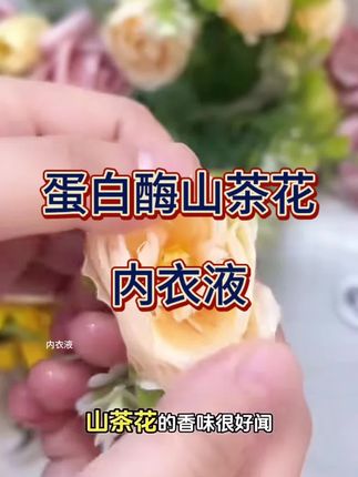 蛋白酶山茶花内衣液,淡淡的山茶花清香味,洗完内衣又香又软,添加蛋白酶能有效分解各种污渍#好物推荐🔥 #夏日必备 #身体护理 #好物优选