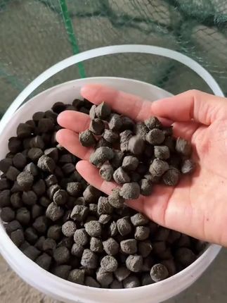 #黑蚯蚓羊油颗粒 #地笼爆护饵料 #下地笼 #逮鱼摸虾
