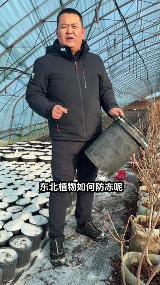 抓紧把雪收集起来,把你的植物覆盖上。 这才是最简单最有效的,植物防冻办法。#植物防冻 #防冻雪 #植物耐寒 #植物保护罩