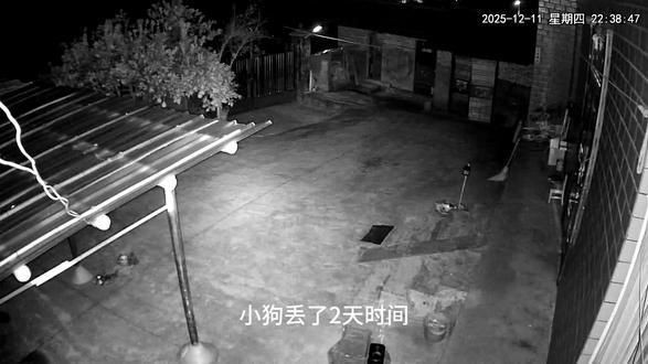 #宠物vlog #边牧 #柯基 找回了小狗!