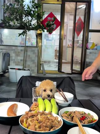 一个不注意差点儿吃剩的~#人生得意须尽欢#白酒 #口粮酒 #浓香型白酒