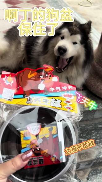 飞天牛-保住狗盆!
打开看到那么大颗我就慌了
我害怕!啊丁比我更害怕!!
金山的小伙伴快来东建吉马往东建方向走一点找我买🎆💥🧨#飞天牛 #狗盆上天