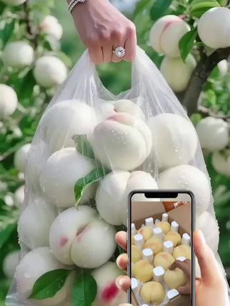 抢鲜!阳山水蜜桃平替?这颗白桃甜到犯规 别再为天价水蜜桃肉疼!这颗山东露天白桃,把“脆甜爆汁”焊在了桃肉里——果皮带着天然白霜,果肉像冻过的牛奶,咬下去“咔嚓”一声,汁水顺着指缝流,甜中裹着清冽桃香,完全不齁腻! 不催熟、不打蜡,每颗都是阳光晒足120天的自然甜。现摘现发,收到时还带着枝头的新鲜气,放1天变软糯,脆吃爽、软吃甜,两种口感都拿捏。 人工手选75mm大果,今年最后一波露天白桃,再不下单,夏天的桃味就要等明年啦!#优质水果 #白桃#脆甜多汁 #口感特别好 #新鲜采摘