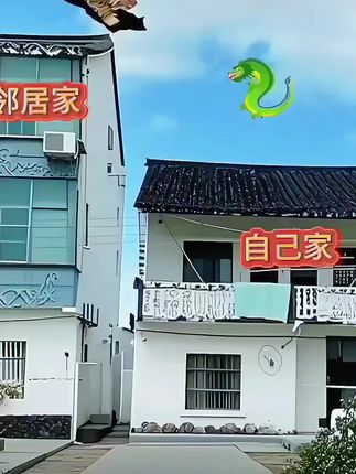 #青龙高万丈#居家挂件#住宅有讲究