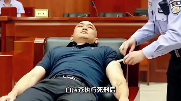 白应苍执行死刑后,他的其它兄弟姐妹怎么处理?