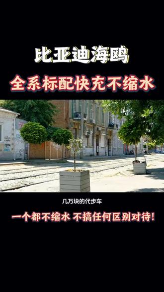 充电只需30分钟?!有这么卷吗?#比亚迪海鸥#智能新能源#电池充电小知识