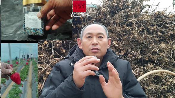 #每天分享农业小知识 #创作者中心 #创作灵感 #新农人计划 肥料施入土壤之后,多长时间能被作物吸收?