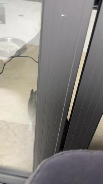 沉浸式看骚福瑞越狱