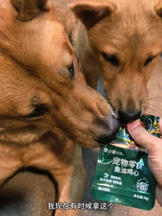鱼油鸡心零食。猫猫狗狗都爱吃。用料特别实。#狗狗 #中华田园犬 #宠物零食 #萌宠 #宠物食品