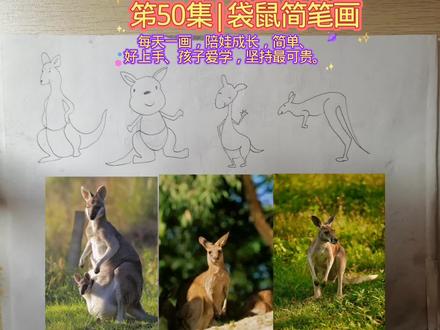第50集|袋鼠简笔画,灵动变身,太有趣啦 #简笔画 #手绘 #袋鼠绘画 #涨知识 #真实生活分享计划