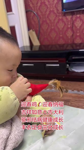 春鸡,又称“打春鸡”,是一种在立春时节为儿童佩戴的传统布艺饰品,流行于山东、河北、陕西、河南等地。它的寓意丰富,主要寄托了长辈对孩子健康成长的美好祝愿,具体包括:
1·吉祥如意,大吉大利: “鸡”与“吉”谐音,佩戴春鸡是为孩子讨个吉利,寓意新的一年里事事顺利、吉祥如意。2.驱邪祛病,健康成长:民间认为鸡能克制蜈蚣、蝎子等
“五毒”,因此春鸡被视为儿童的护身符,用以驱邪免
灾,保佑孩子不受毒虫侵扰、远离疾病。有的春鸡嘴中
会叼着与孩子年龄相同数量的豆粒,寓意“鸡吃豆”,可
避免天花、麻疹等疾病。
3.丰衣足食,茁壮成长:春鸡用碎布和棉花填充,象征富
足,寄托了长辈希望孩子未来生活富足、茁壮成长的期
盼。同时,“鸡”也与“饥”同音,寓意孩子从此远离饥荒
之苦。
4,迎春纳福:立春是春天的开始,佩戴春鸡象征迎接新
生,寓意孩子像春天的小鸡一样充满活力,从小就“吉星
高照”。