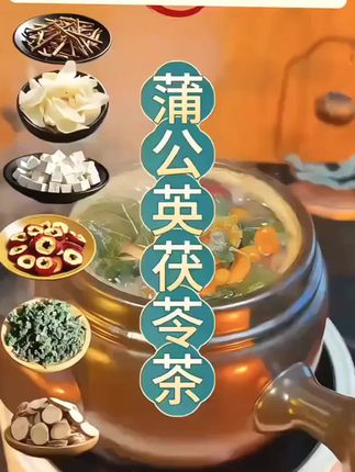 #蒲公英百合茯苓茶 分享老一辈的方子哦,这个搭配你要收好了!#蒲公英茶#传统文化#养生茶。