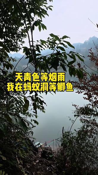 #钓鱼 在蚂蚁洞等到了小奶鲫 #野钓 #野钓鲫鱼 #户外