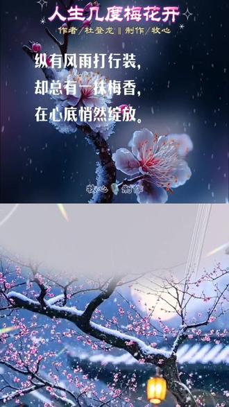 和 @牧心🎙 一起 #合拍 #《人生几度梅花开》杜登龙#诵读经典作品 #诵读练习