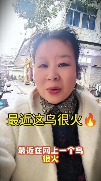 最近一只鸟在网上火了#上热门话题🔥🔥🔥 #内容过于真实 #创作者扶持计划 @DOU+小助手