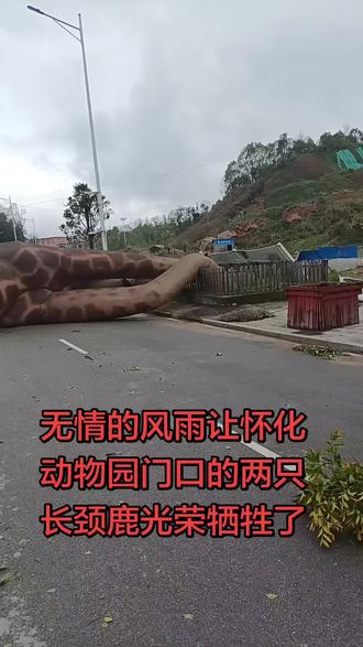 风雨无情,让多少人受到无辜的伤害