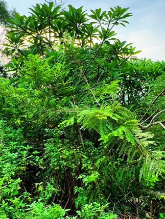 #摆件 #水晶工艺品摆件