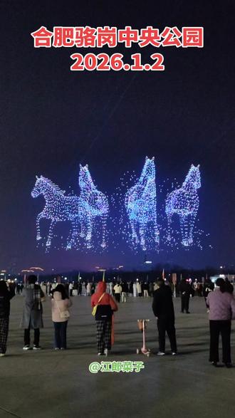 今晚八点,央视科晚正式播出,骆岗无人机同步起飞#合肥园博园#骆岗中央公园 #无人机表演#2025中国科技创新盛典