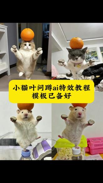 小猫叶问蹲教程豆包,小猫叶问蹲教程,小猫叶问蹲口令。叶问蹲,小猫叶问蹲,小猫叶问蹲姿照怎么p,小猫叶问,叶问蹲教程。叶问蹲动物,叶问蹲ai指令怎么写,猫咪叶问蹲口令,叶问蹲ai指令。小狗叶问蹲口令,猫咪叶问蹲。猫咪顶橘子 ai。猫咪叶问。功夫鼠口令。猫咪叶问蹲ai特效,猫咪叶问原视频,台下十年功教程,#剪映 #猫咪叶问蹲 #小狗叶问蹲 #功夫鼠叶问蹲