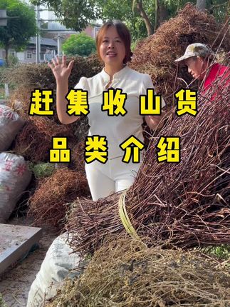 今天又下乡赶集收货了,看一下我们都收了一些什么品。#山货 #农业 #药材