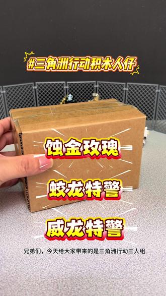 兼容乐高三角洲行动凌霄戍卫威龙赛伊德红狼积木人仔拼装玩具礼物#乐高人仔 #三角洲行动 #蚀金玫瑰#威龙 #蛟龙