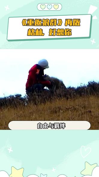 读完满是震撼与感动,《重返狼群》不只是狼的故事,更是写给每个渴望自由的成年人的书#重返狼群 #格林 #自由#生命