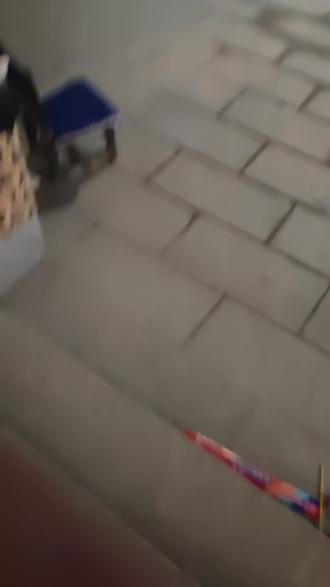 666彩菊这一块#马上迎财神