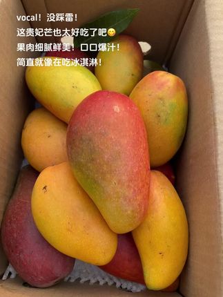 后悔买少了!这贵妃芒也太好吃了吧!香甜软糯,果肉细腻,汁水还特别多。放冰箱冰镇后,口感像冰淇淋一样软糯香甜!#贵妃芒 #新鲜应季水果 #软糯香甜 #口感特别好 #超便宜超划算