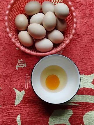 山林散养土鸡蛋,一单50玫,每枚40-50克,现捡现发,臭蛋包赔,不吃饲料,大家放心下单#山林散养土鸡蛋 #鸡蛋 #山林散养鸡蛋