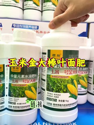 #玉米金大棒 #玉米金大棒叶面肥 #好产品一起分享 #厂家直发品质保证 #价格实惠