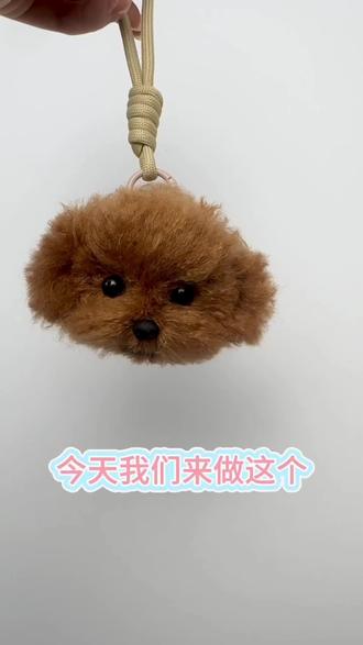萌物~#萌宠 #小狗狗🐶 #手工 #手工diy #手作