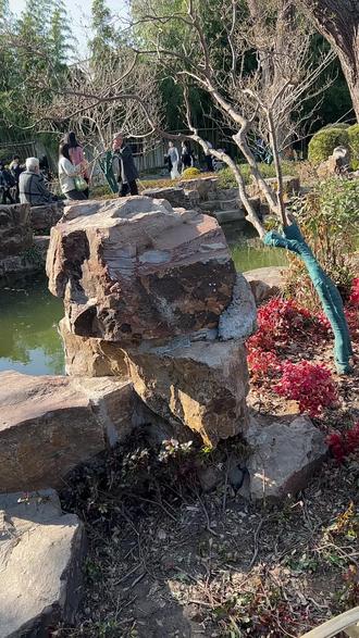 #人山人海太热闹了 扬州东关街+个园