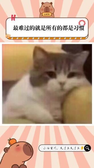 醒来后手边是空的,下播后没有了等他的人#小白言川 #情侣 #琅声雅集 #强烈推荐 #泪目