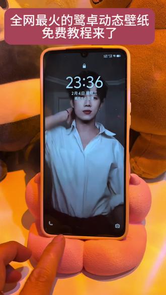 全网都在找的鹭卓动态手机壁纸免费教程来了,不会的跟着哦操作,超简单#剪映#手机壁纸#动态壁纸#锁屏壁纸#息屏壁纸