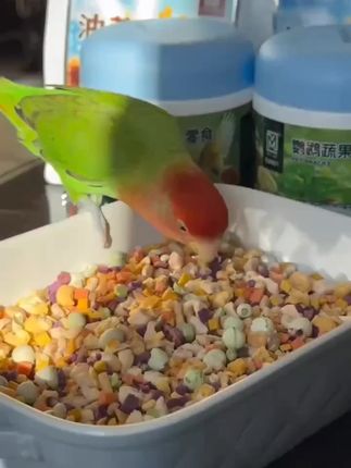 视频