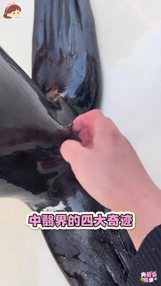 怪不得身边人都在用的秋大夫,原来这么权威!!!
