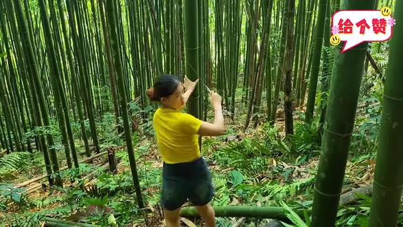 美女竹中搭建第1集#真实户外 #搭建 #搭建高手