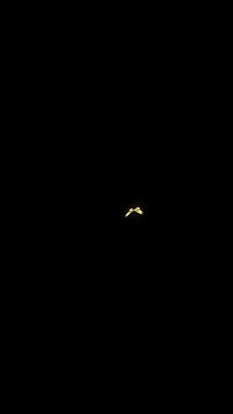 “可能到某一天,不自觉的时间会说明”#陪你看星星 #剑来 #语录 #降调