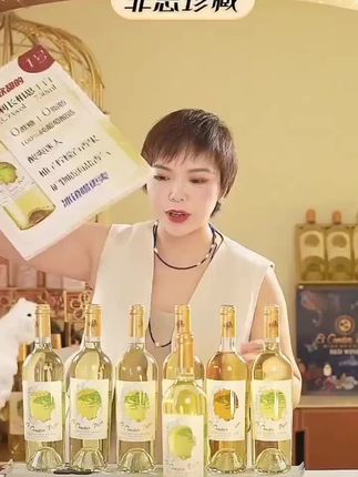 智利原瓶原装老鹰之歌长相思干白葡萄酒*6瓶13.5桃源酒肆ol微醺清爽可口