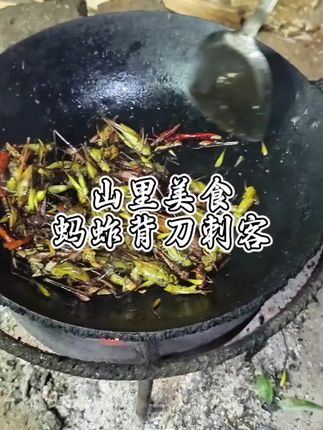 带大家体验山里面的美食"蚂蚱刺客"#记录真实生活 #美食