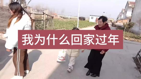 我为什么回家过年