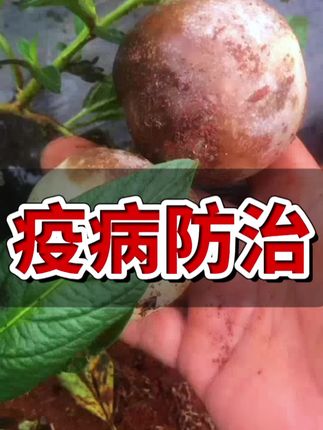 #农技推广 #农业种植 #三农 #抖音新农人 #科技农业创新农业